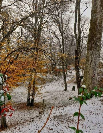 Les gîtes du parc à Mantoche