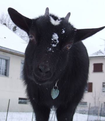 Les gîtes du parc à Mantoche