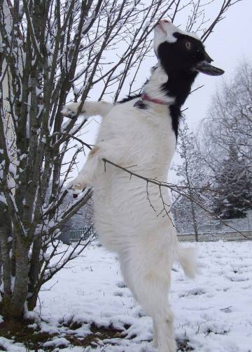 Les gîtes du parc à Mantoche