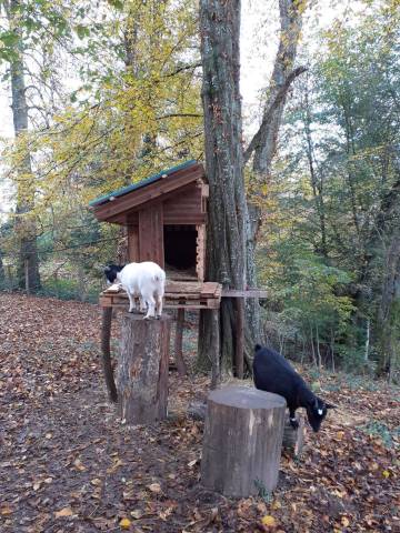 Les gîtes du parc à Mantoche