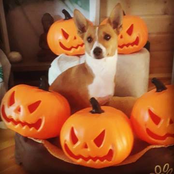 Les gîtes du parc à Mantoche