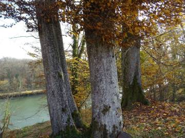 Les gîtes du parc à Mantoche