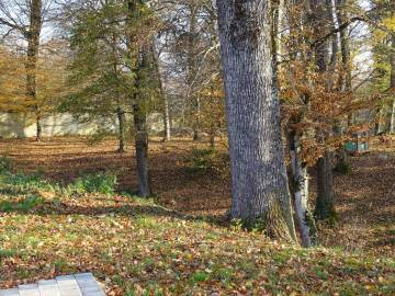Les gîtes du parc à Mantoche