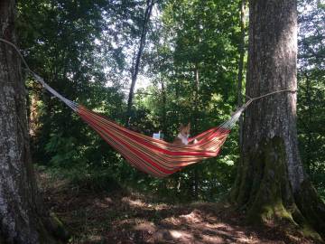 Les gîtes du parc à Mantoche