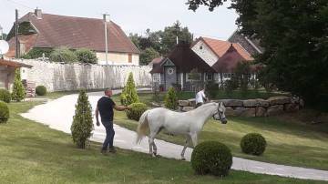 Les gîtes du parc à Mantoche