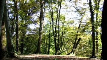 Les gîtes du parc à Mantoche